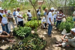 Agricultores  Experimentadores  3 Encontro Nacional 105